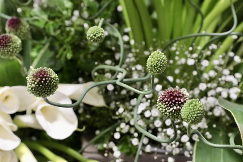 カラー20260310 (4).jpg