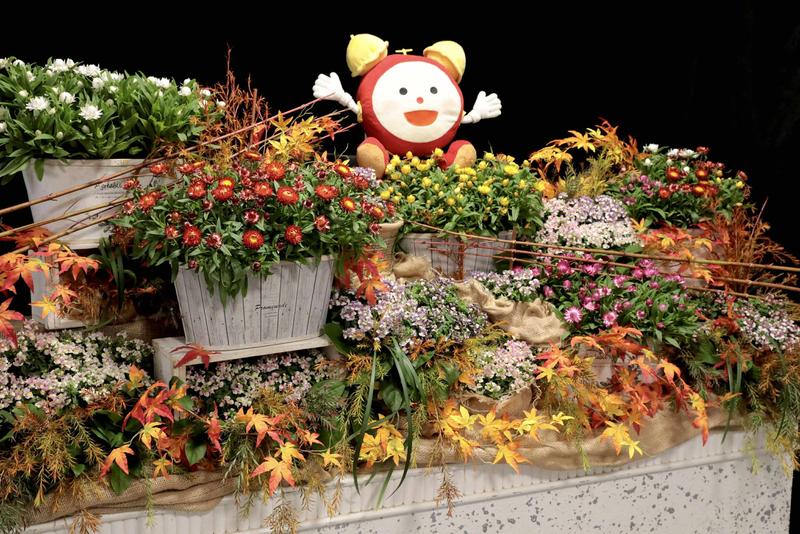 タキイ花苗_251014_装飾.jpg