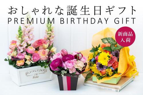 mv_birthday_pre.jpg