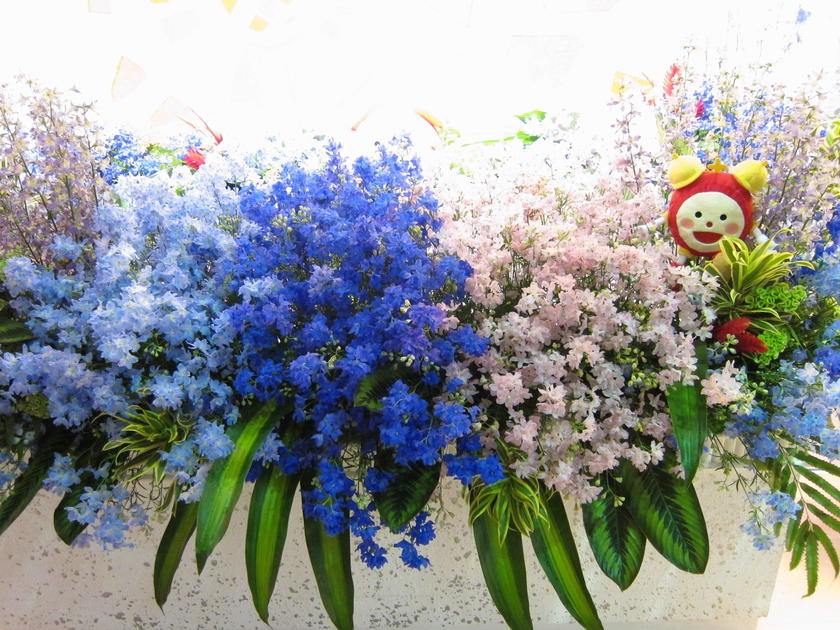 all01_160626.JPG
