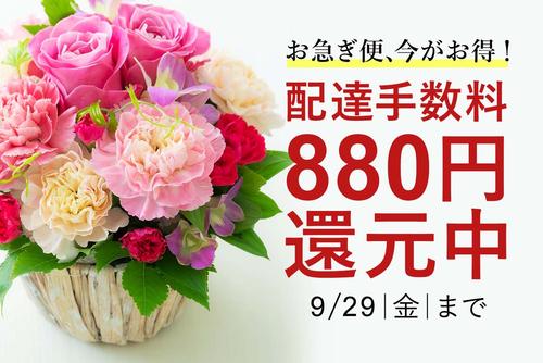 c9f69ace99d380682afa8badccca458c61d3f661.jpg