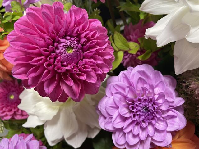 写真 2024-05-20 12 18 45.jpg