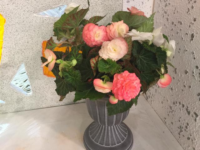 gift_20160919.JPG