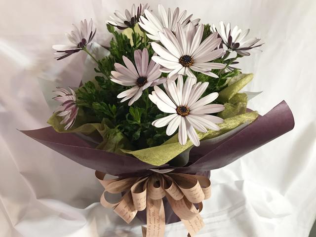 gift_20170130.jpg