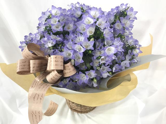 gift_20170320.JPG