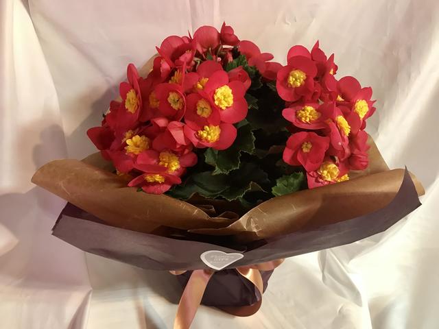 gift_20170403.jpg