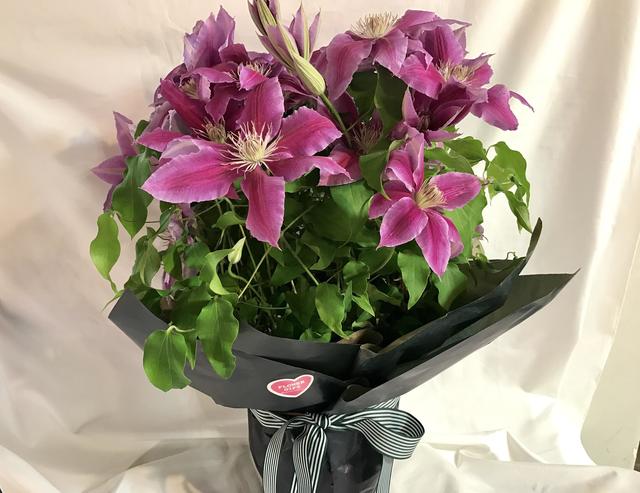 gift_20170410.jpg