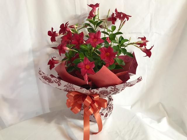 gift_20170619.jpg