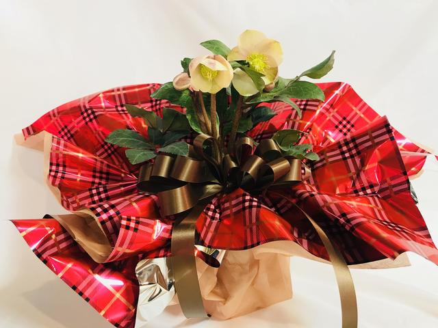 gift_20171212.jpg