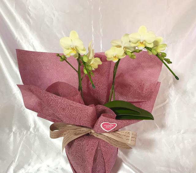 gift_20180213.jpg