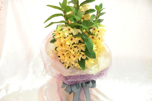 gift_20190205.JPG