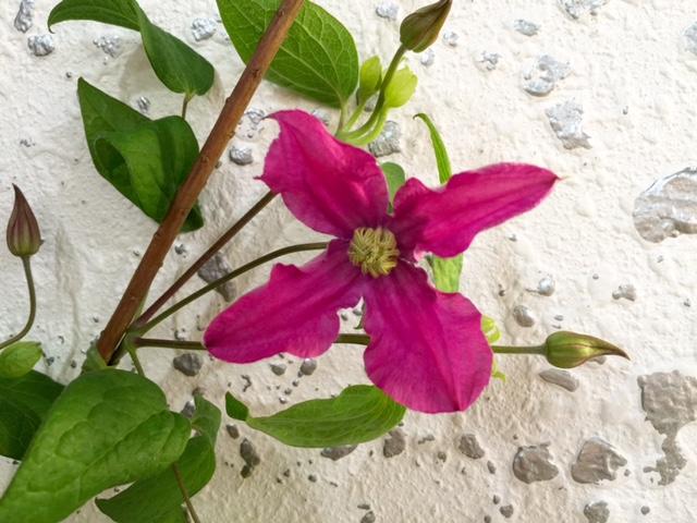inspiration_20160616.jpg