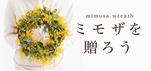 mail_mimosa.jpg