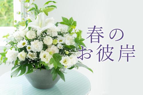 mv_higan_spring.jpg