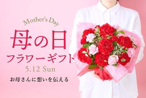 mv_mother24_nomal.jpg