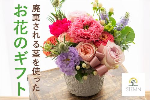 mv_sdgsFlower.jpg