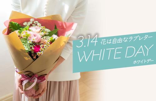 mv_whiteday.jpg