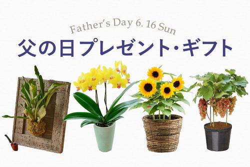mvb_father24.jpg