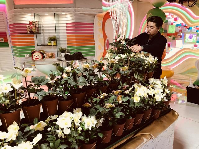 noda_20171211.jpg