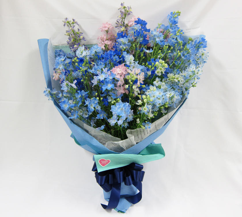 6月27日放送 爽やかなブルーのデルフィニウム めざましテレビ で紹介された花 フジテレビフラワーネット