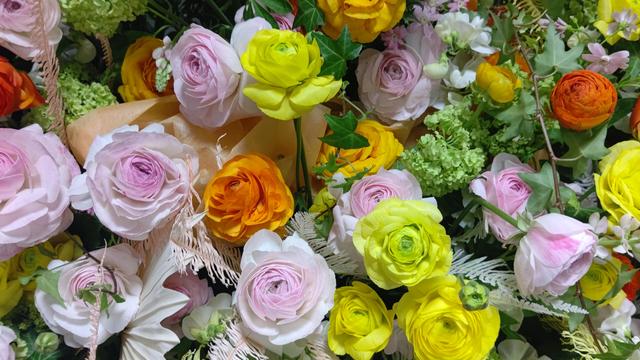 ranunculus_8.JPG