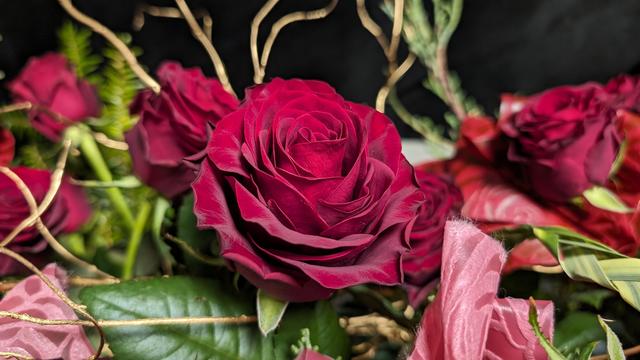 rose_4.jpg
