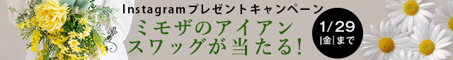 spbanner_2101.png