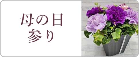 ̓Q