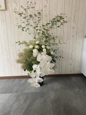 北海道札幌市 北区の花屋 花屋 Flower Abe をご紹介 フラワーギフトはプロのお花屋さんにおまかせ フジテレビフラワーネット