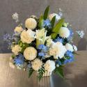 �t�H�g�M�������[�摜