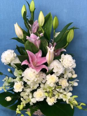 北海道小樽市の花屋 有 カトレア をご紹介 フラワーギフトはプロのお花屋さんにおまかせ フジテレビフラワーネット