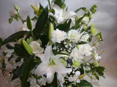 北海道小樽市の花屋 はせがわ生花店 をご紹介 フラワーギフトはプロのお花屋さんにおまかせ フジテレビフラワーネット