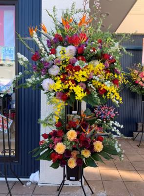 北海道苫小牧市の花屋 紫紅堂生花店 をご紹介 フラワーギフトはプロのお花屋さんにおまかせ フジテレビフラワーネット 北海道苫小牧市の花屋 紫紅堂生花店 をご紹介 フラワーギフトはプロのお花屋さんにおまかせ フジテレビフラワーネット