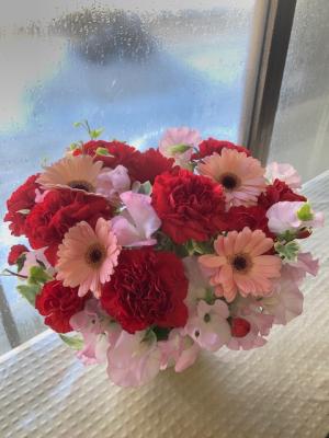 北海道登別市の花屋 有 花善 をご紹介 フラワーギフトはプロのお花屋さんにおまかせ フジテレビフラワーネット