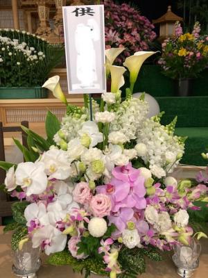 北海道登別市の花屋 有 花善 をご紹介 フラワーギフトはプロのお花屋さんにおまかせ フジテレビフラワーネット