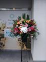 tHgM[摜