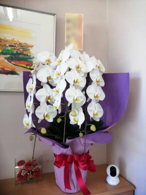 北海道札幌市 中央区の花屋 Flower Space Gravel ﾌﾗﾜｰｽﾍﾟｰｽｸﾞﾗﾍﾞﾙ をご紹介 フラワーギフトはプロのお花屋さんにおまかせ フジテレビフラワーネット