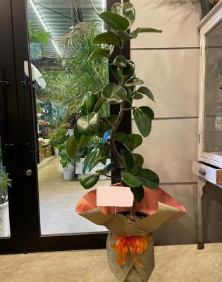 北海道札幌市 中央区の花屋 Flower Space Gravel ﾌﾗﾜｰｽﾍﾟｰｽｸﾞﾗﾍﾞﾙ をご紹介 フラワーギフトはプロのお花屋さんにおまかせ フジテレビフラワーネット