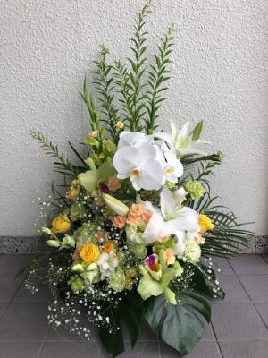 北海道千歳市の花屋 花のはしづめ をご紹介 フラワーギフトはプロのお花屋さんにおまかせ フジテレビフラワーネット