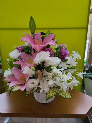 北海道千歳市の花屋 花のはしづめ をご紹介 フラワーギフトはプロのお花屋さんにおまかせ フジテレビフラワーネット