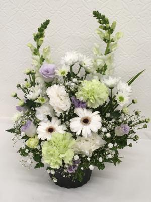 北海道網走市の花屋 フラワーカトレア をご紹介 フラワーギフトはプロのお花屋さんにおまかせ フジテレビフラワーネット 北海道網走市の花屋 フラワーカトレア をご紹介 フラワーギフトはプロのお花屋さんにおまかせ フジテレビフラワーネット