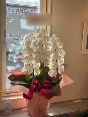 岩手県盛岡市の花屋 有 花ごころ をご紹介 フラワーギフトはプロのお花屋さんにおまかせ フジテレビフラワーネット