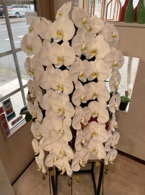 岩手県盛岡市の花屋 有 花ごころ をご紹介 フラワーギフトはプロのお花屋さんにおまかせ フジテレビフラワーネット