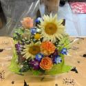 �t�H�g�M�������[�摜