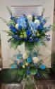 �t�H�g�M�������[�摜