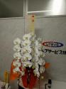 tHgM[摜