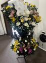 �t�H�g�M�������[�摜