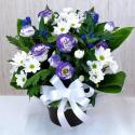 �t�H�g�M�������[�摜