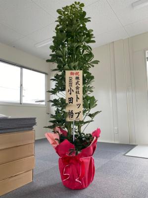 宮城県石巻市の花屋 有 大森花園 をご紹介 フラワーギフトはプロのお花屋さんにおまかせ フジテレビフラワーネット 宮城県石巻市の花屋 有 大森花園 をご紹介 フラワーギフトはプロのお花屋さんにおまかせ フジテレビフラワーネット