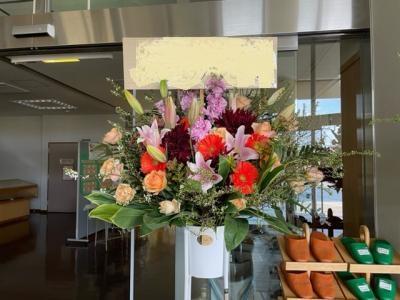 3jcqdaj5co Dsm 3jcqdaj5co Dsm